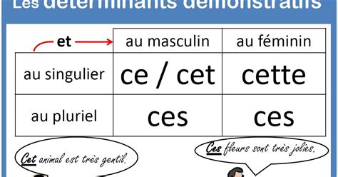 cet cest|diferencia entre cet y cest.